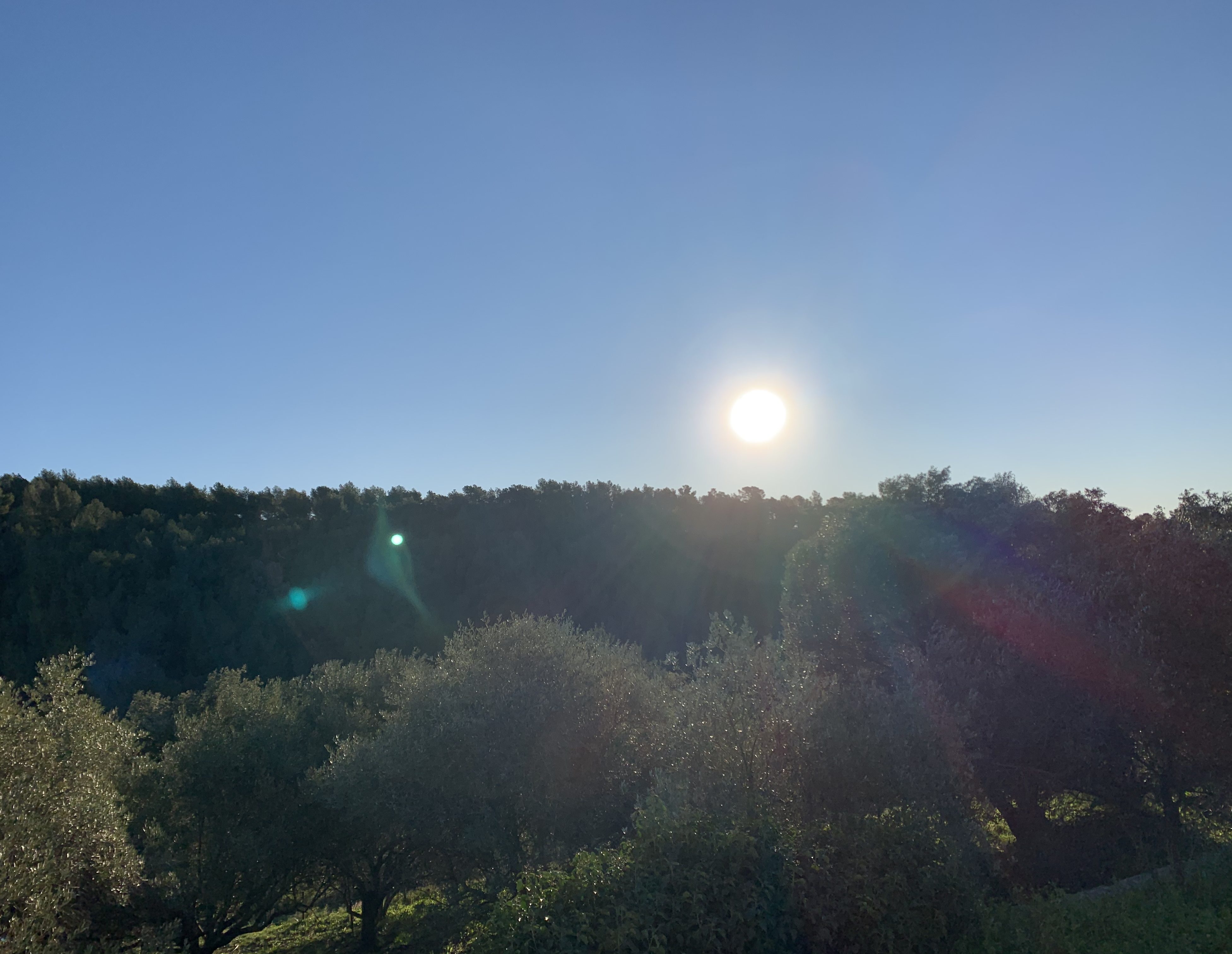 いちはの英会話